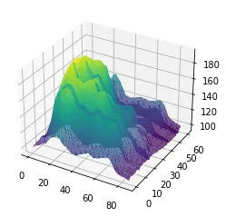 Surface Plot