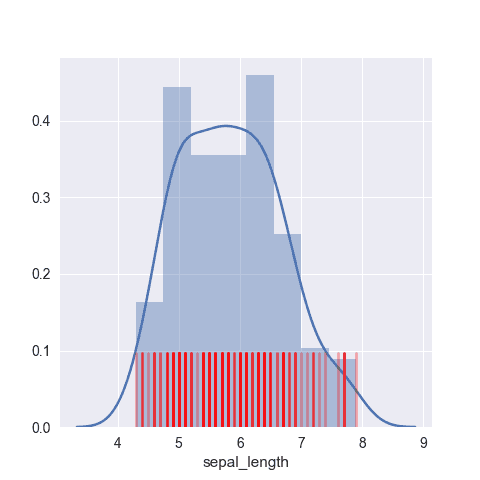 Customize the rug: color, size and more