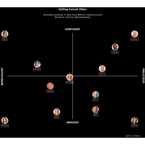 Use an image inside each scatterplot circle